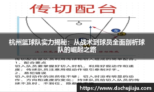杭州篮球队实力揭秘：从战术到球员全面剖析球队的崛起之路